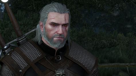 witcher 3 tvtropes|The Witcher: 10 Biggest Differences Between Geralt In The Books And .